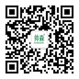 帅森电器